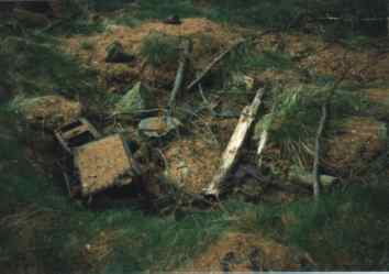 heide02.jpg (8493 Byte)