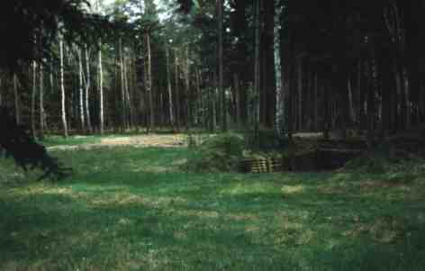 heide05.jpg (9080 Byte)