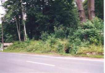 glashu01.jpg (17790 Byte)