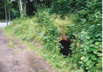 glashu02.jpg (19620 Byte)