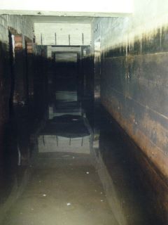 Bunker bei Niedrigwasser