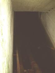 bunker11.jpg (4016 Byte)