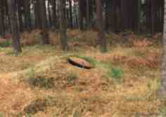 bunker01.jpg (3730 Byte)