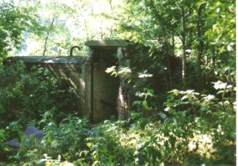 pirna01.jpg (19628 Byte)