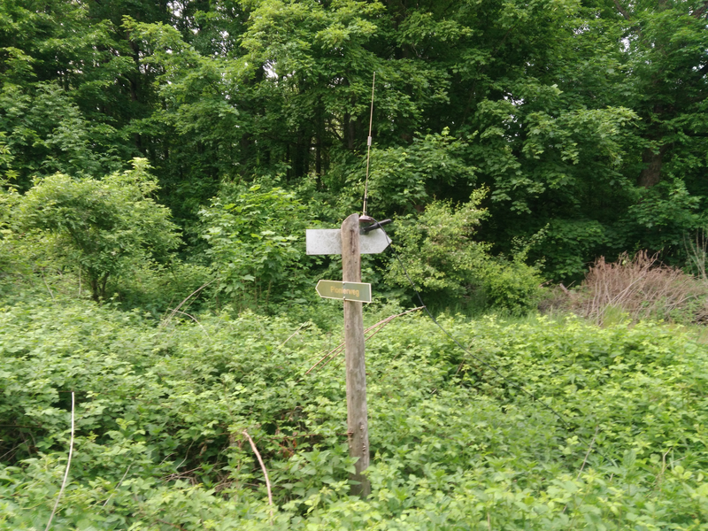 dlff-0301_220521_01.png